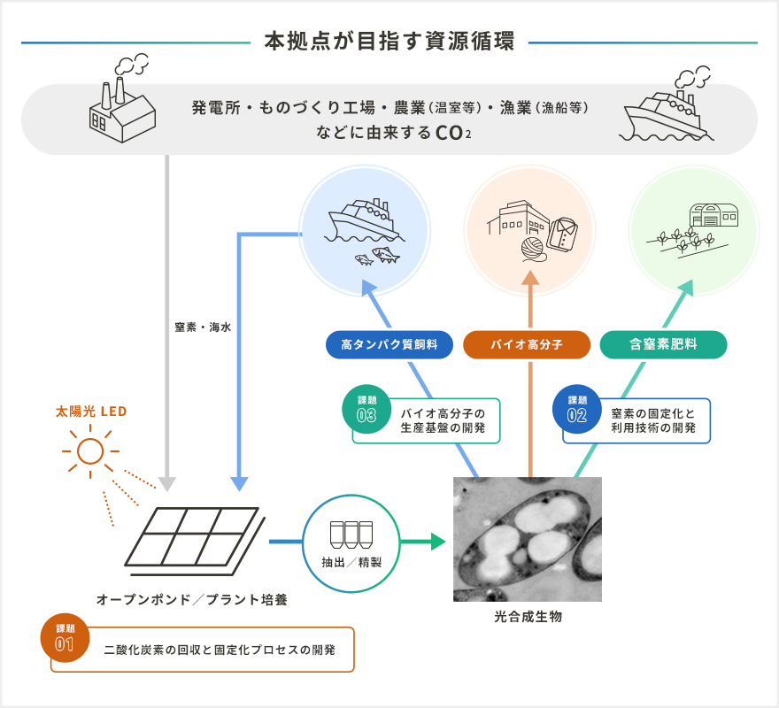 本拠点が目指す資源循環
