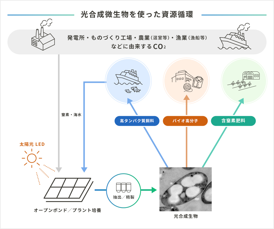 光合成生物を使った資源循環